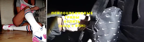 мяу мяу мука Магадан