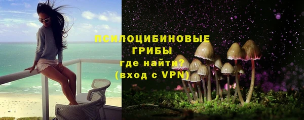 мяу мяу мука Магадан