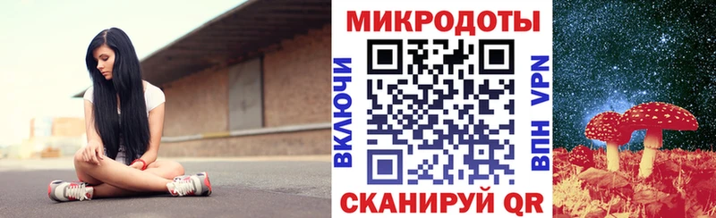 магазин    Юрьев-Польский  Псилоцибиновые грибы GOLDEN TEACHER 