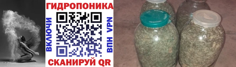 МАРИХУАНА планчик  Юрьев-Польский 